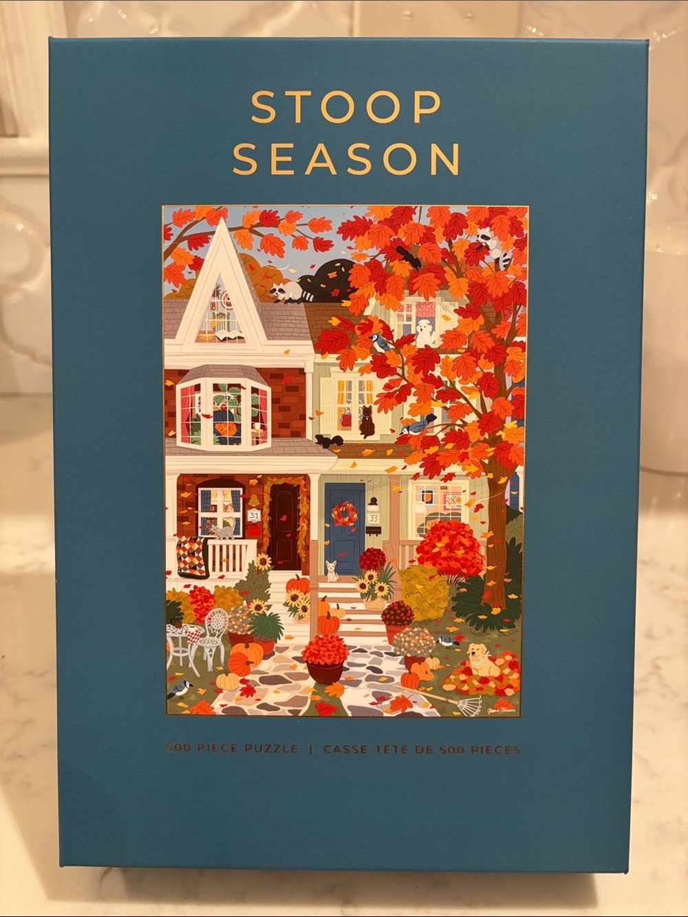 HOBBRY Stoop Season 500-Piece Jigsaw Puzzle - Teal Box